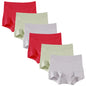 6pcs Modal Women Panties Lady