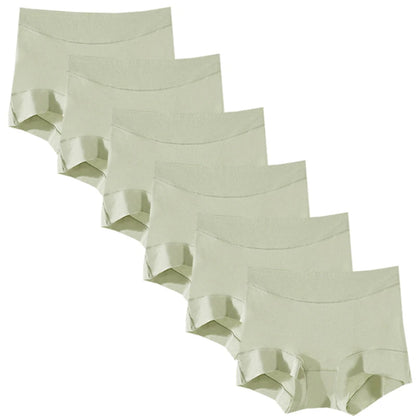 6pcs Modal Women Panties Lady