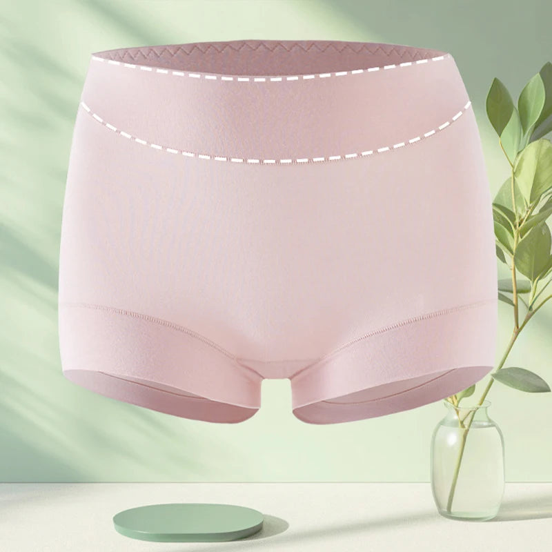 6pcs Modal Women Panties Lady